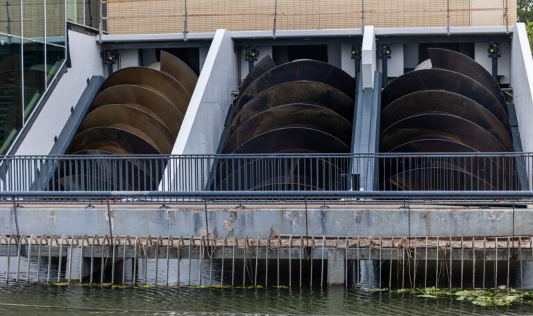 PHOTO 2026 01 17 15 20 37